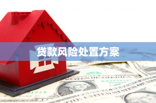 高明贷款风险处置方案