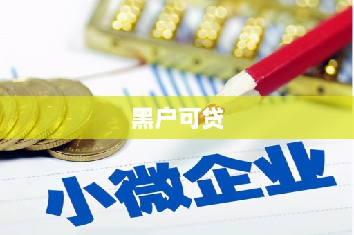 沿河黑户可贷