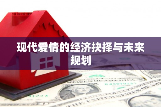 南阳现代爱情的经济抉择与未来规划
